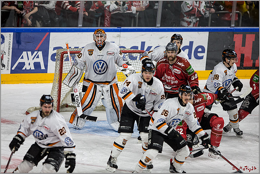 DEL, Koelner Haie - Grizzlys Wolfsburg, 21.03.2017